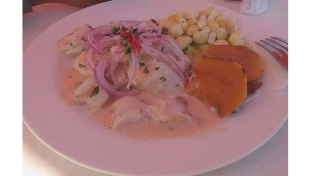 Fresh Ceviche in Paracas Sunny and warm destinations near Lima