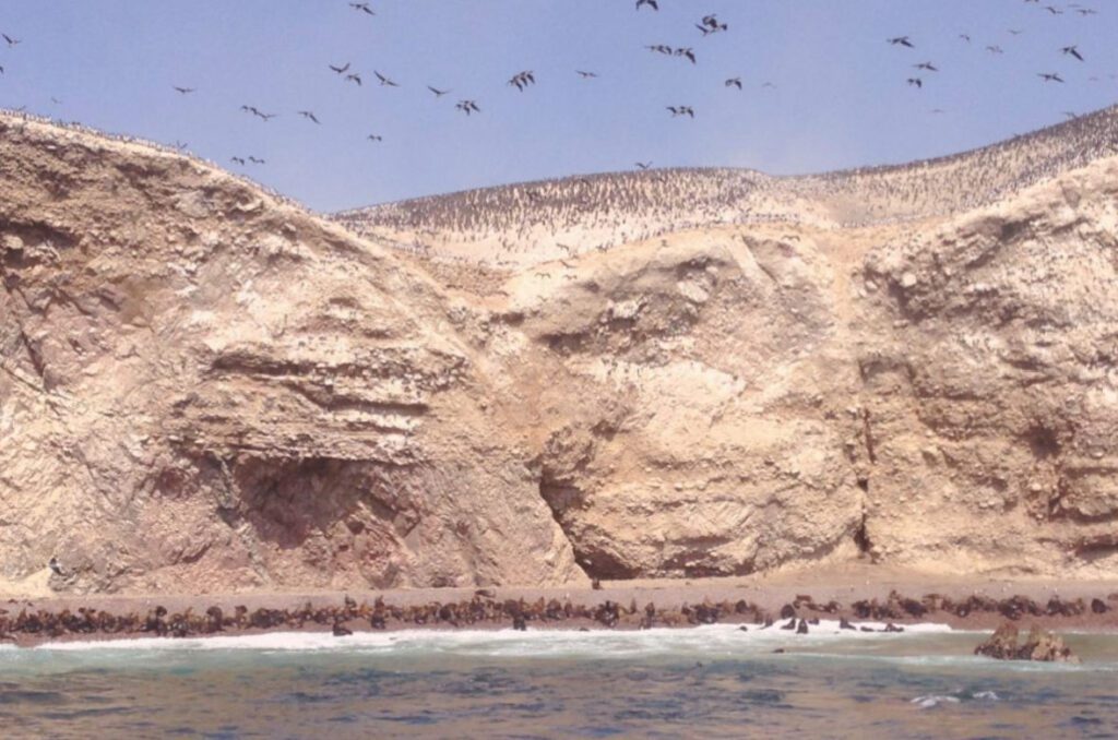 Paracas travel guide Peru