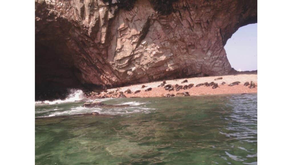 Peru Travel guide Paracas