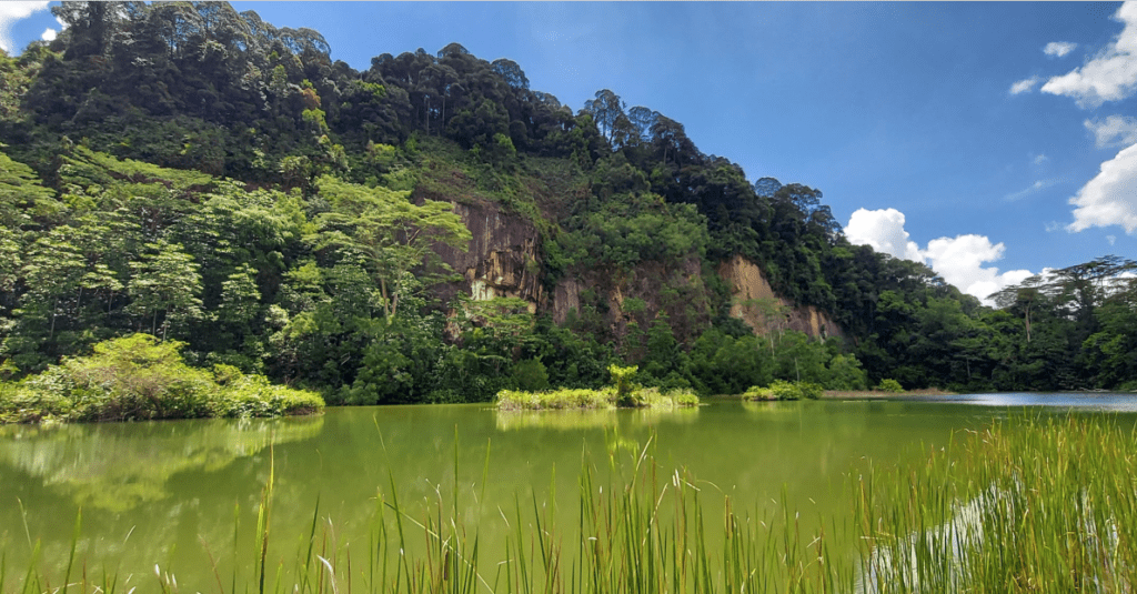 Caminatas en la naturaleza-Singapur