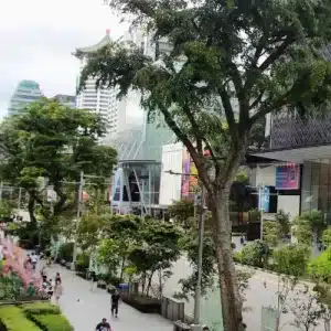 Orchard-road-walking-trail