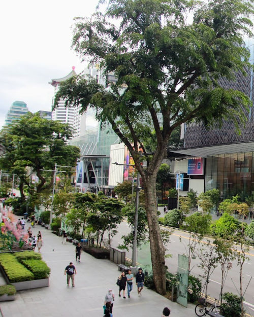 walking itinerary in orchard road singapore