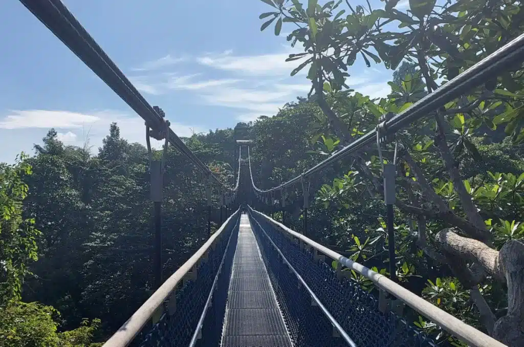 The iconic TreeTop Walk—a 250m-long suspension bridge spanning the highest peaks of the Nature Reserve.