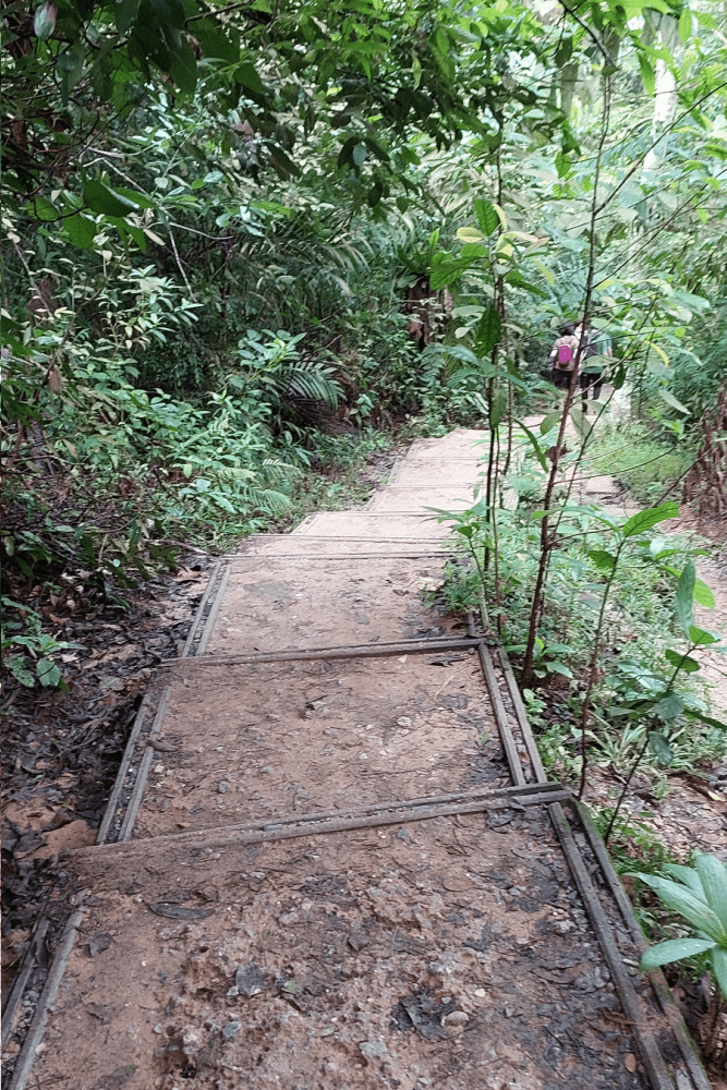 Hike Windsor Nature Park