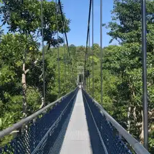 windsor park hike