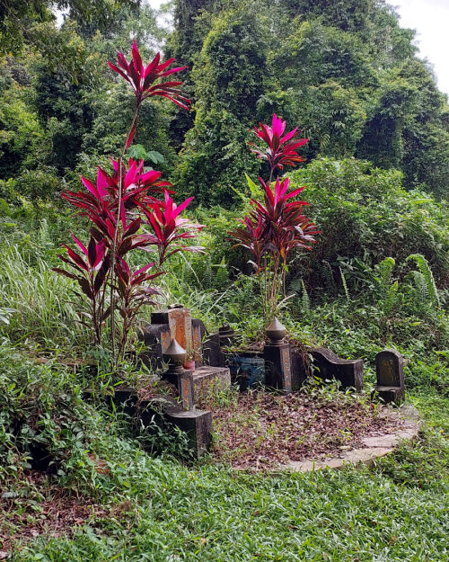 Singapore Hiking Trail | The Mysterious Bukit Brown Cemetery