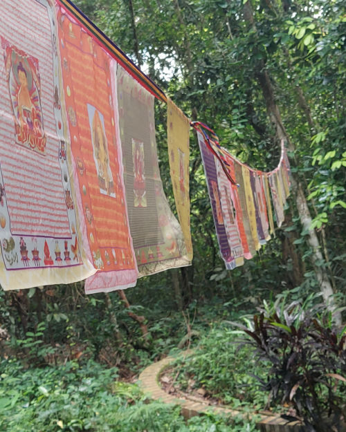 Walking among tombs and jungle in the Bukit Brown cemetery