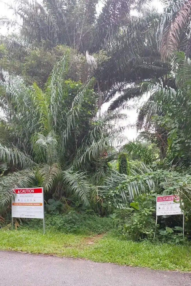 hike singapore bukit brown cemetery