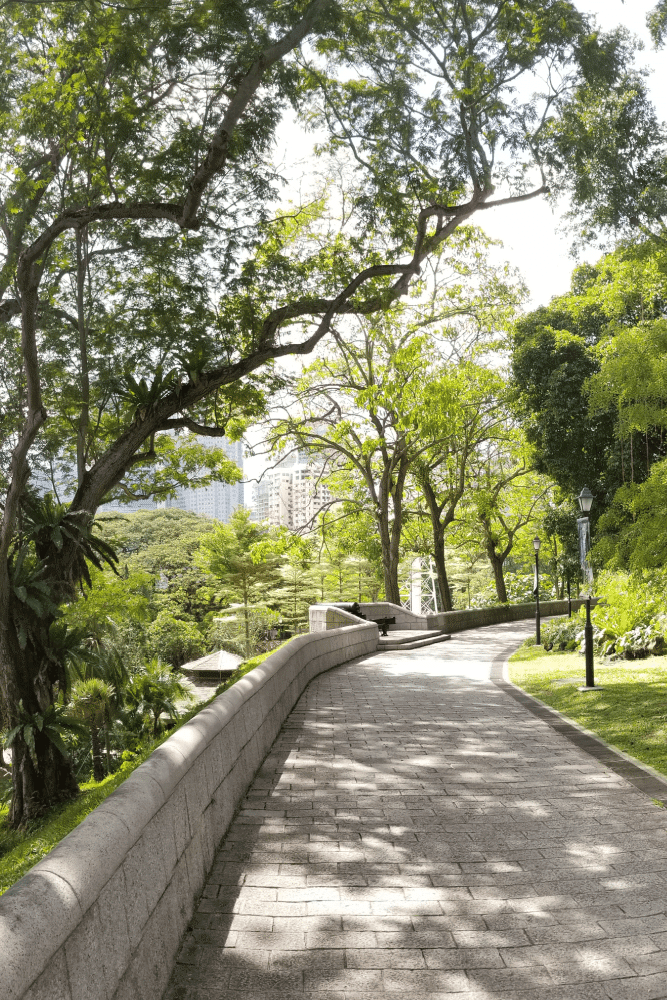 Caminata Entre la Naturaleza del Parque Fort Canning