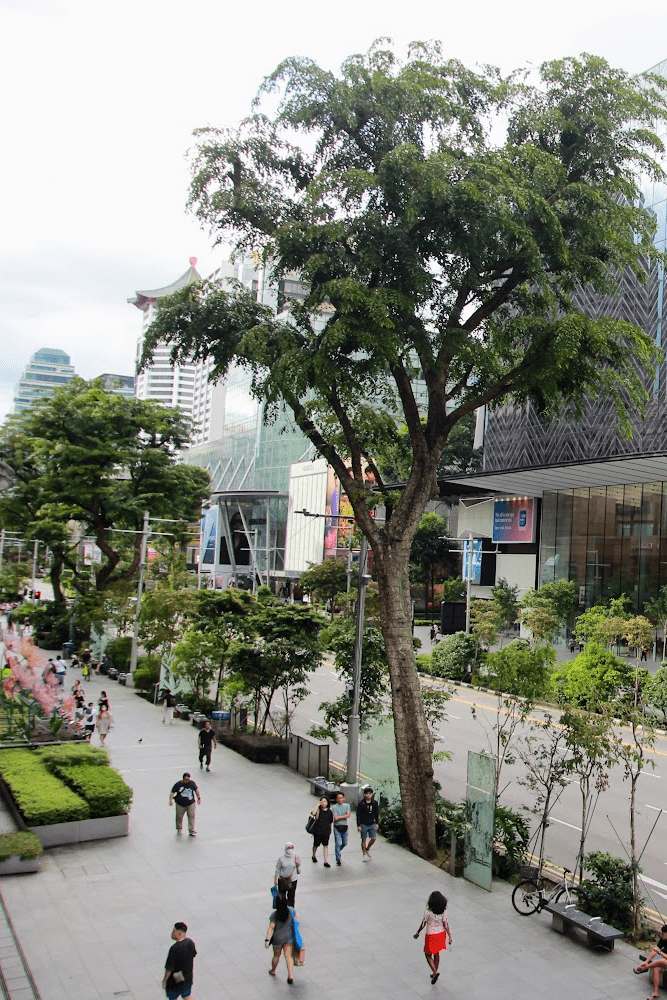 Orchard Road Guide-1