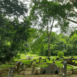 Caminata en el cementerio de Bukit Brown