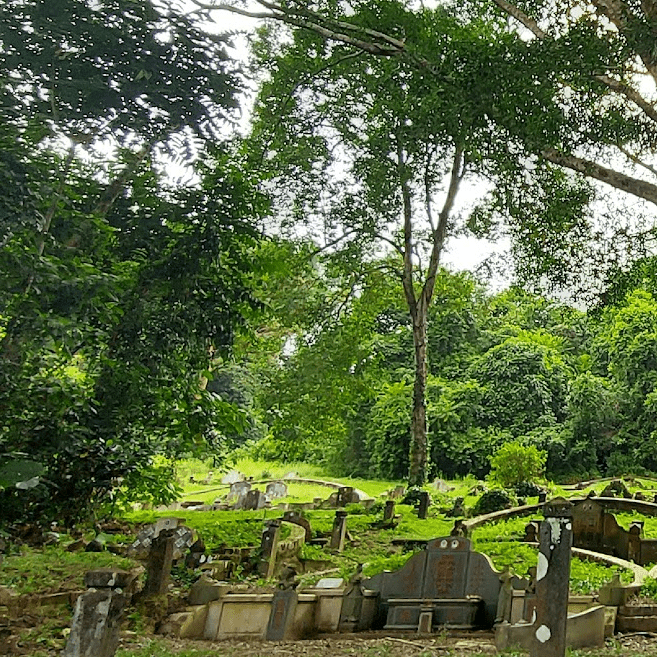 Caminata en el cementerio de Bukit Brown