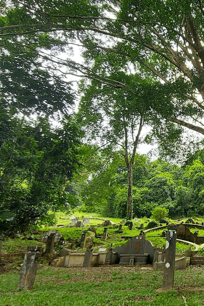 Caminata en el cementerio de Bukit Brown