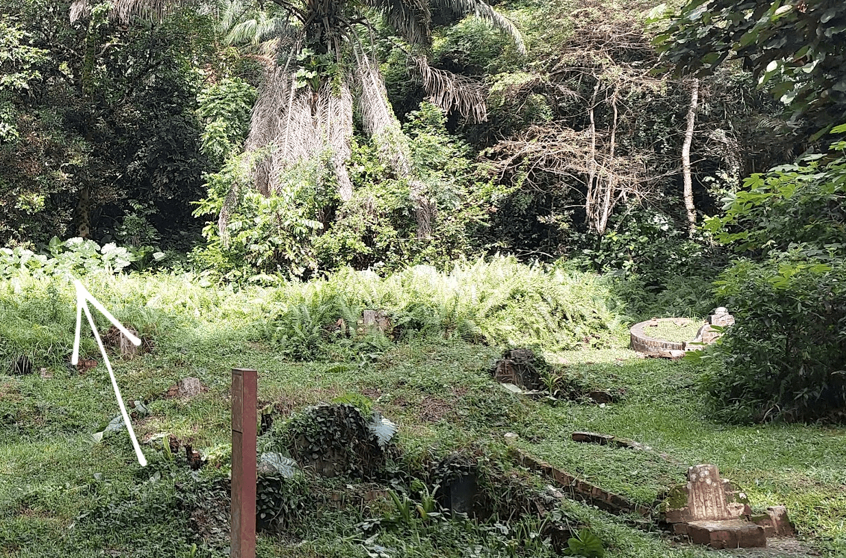 Singapore Hiking Trail The Mysterious Bukit Brown Cemetery