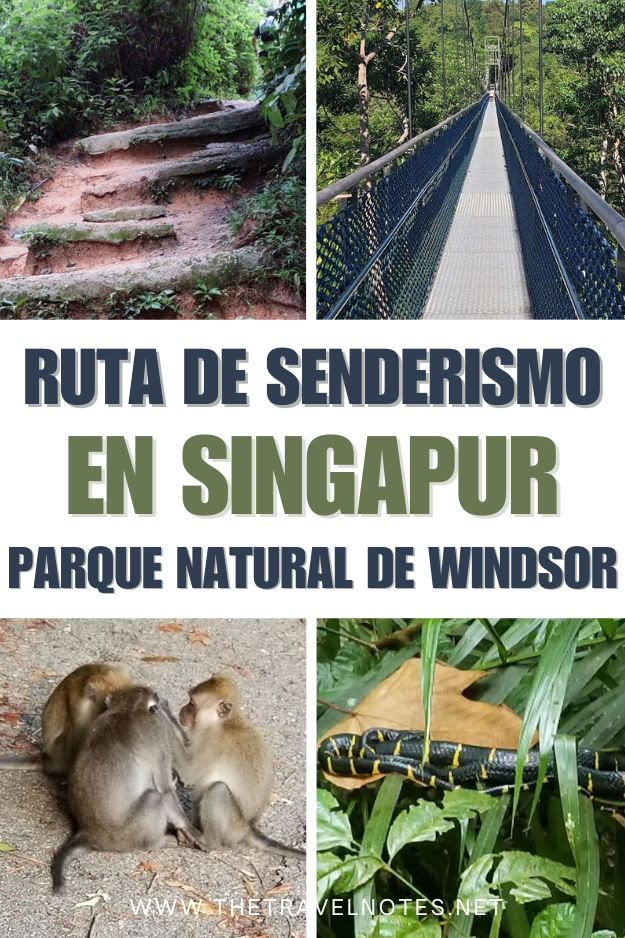 Ruta de Senderismo por la Selva del Parque Natural de Windsor