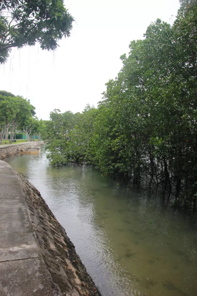 Escapada en ferry desde Singapur: Las Islas St. John y St. Lazarus 