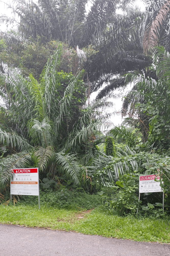 Fuera de la ruta turistica en Singapur Cementerio de Bukit Brown