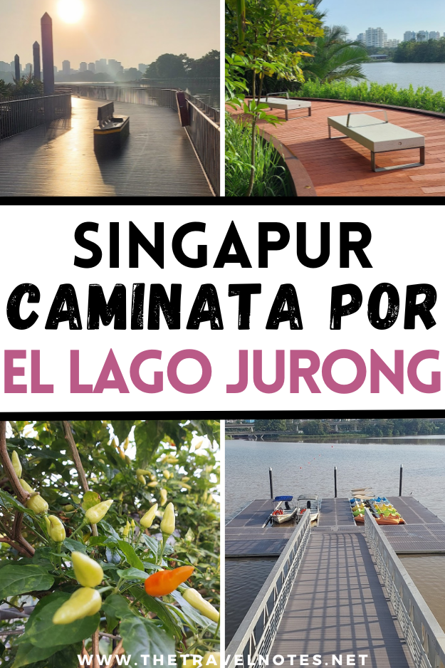 Caminata Por Los Jardines del Lago Jurong en Singapur