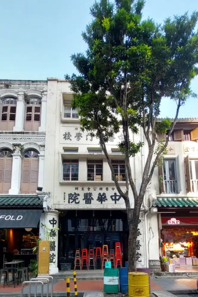 Caminata guíada por Chinatown Singapur