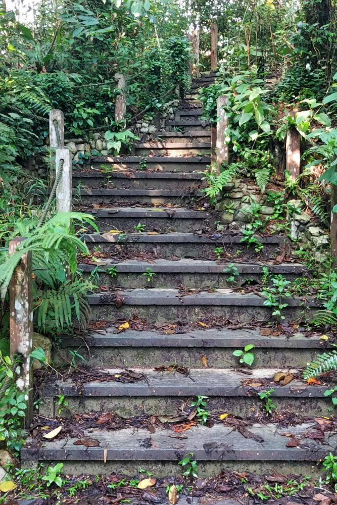 Caminata por Bukit Gombak Bukit Batok Dairy Farm 