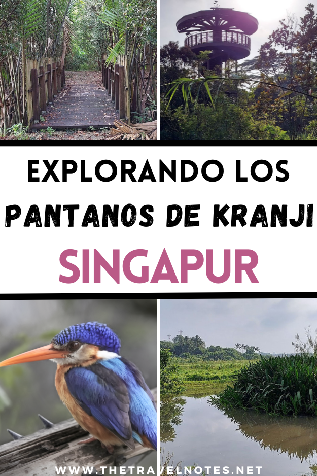 Caminata por la naturaleza en Singapur, Los Pantanos de Kranji