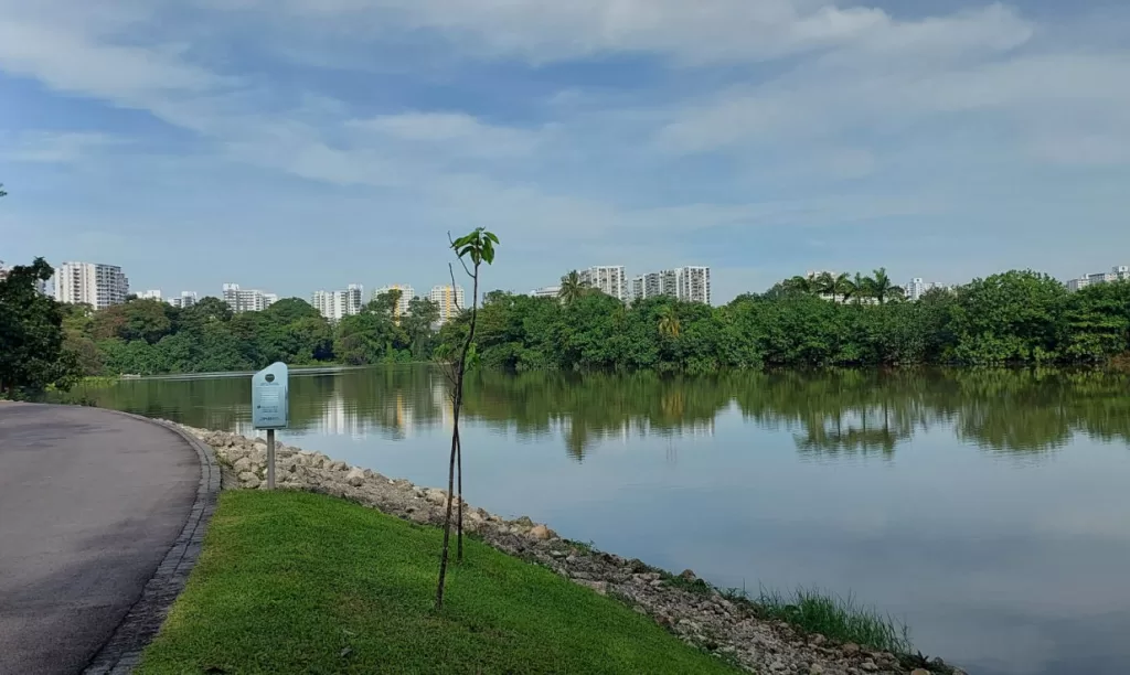 caminatas al aire libre en Singapur