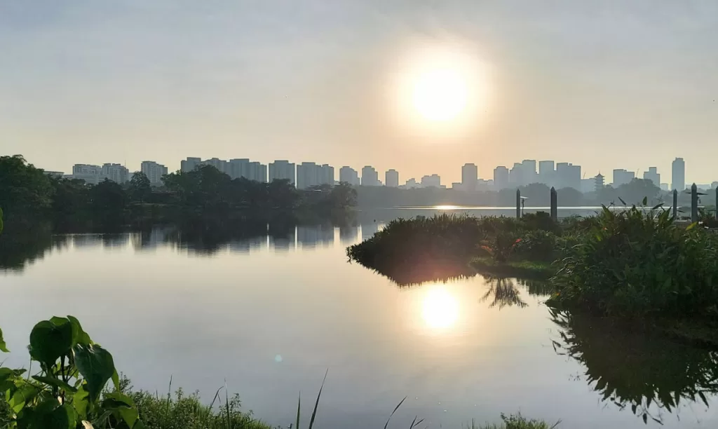 Caminata por los jardines del lago jurong