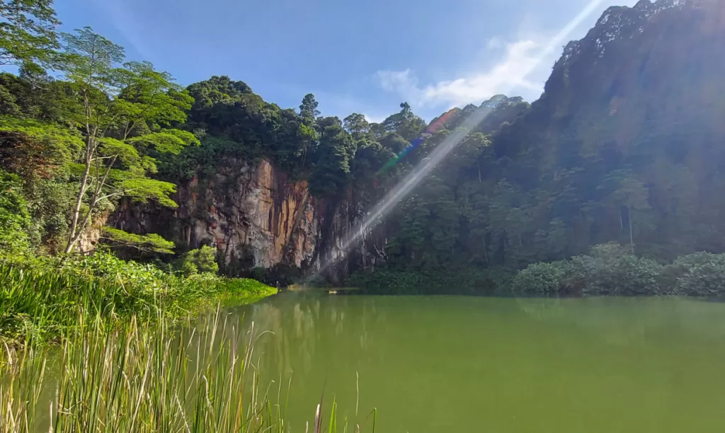 Itinerario a pie por la naturaleza en Singapur-1