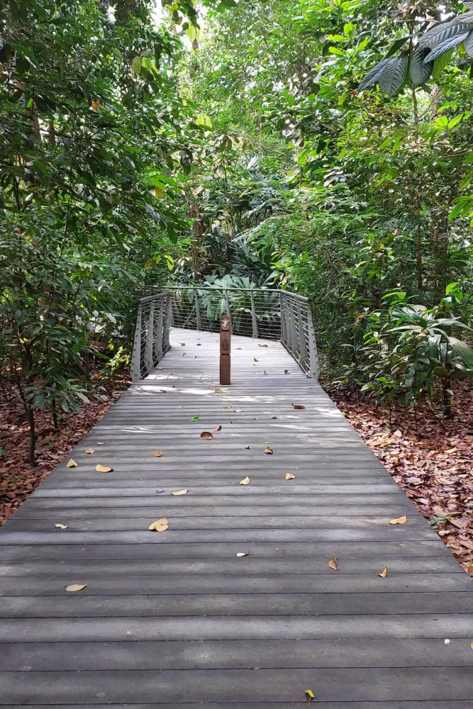 Caminata por los jardines botánicos de Singapur