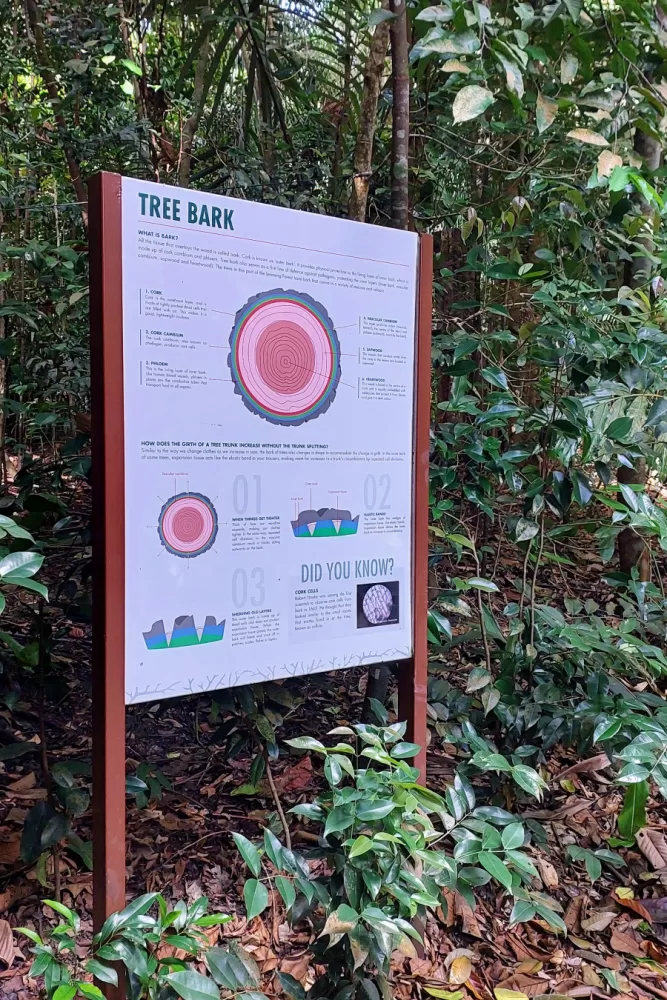 Los jardines botánicos de Singapur