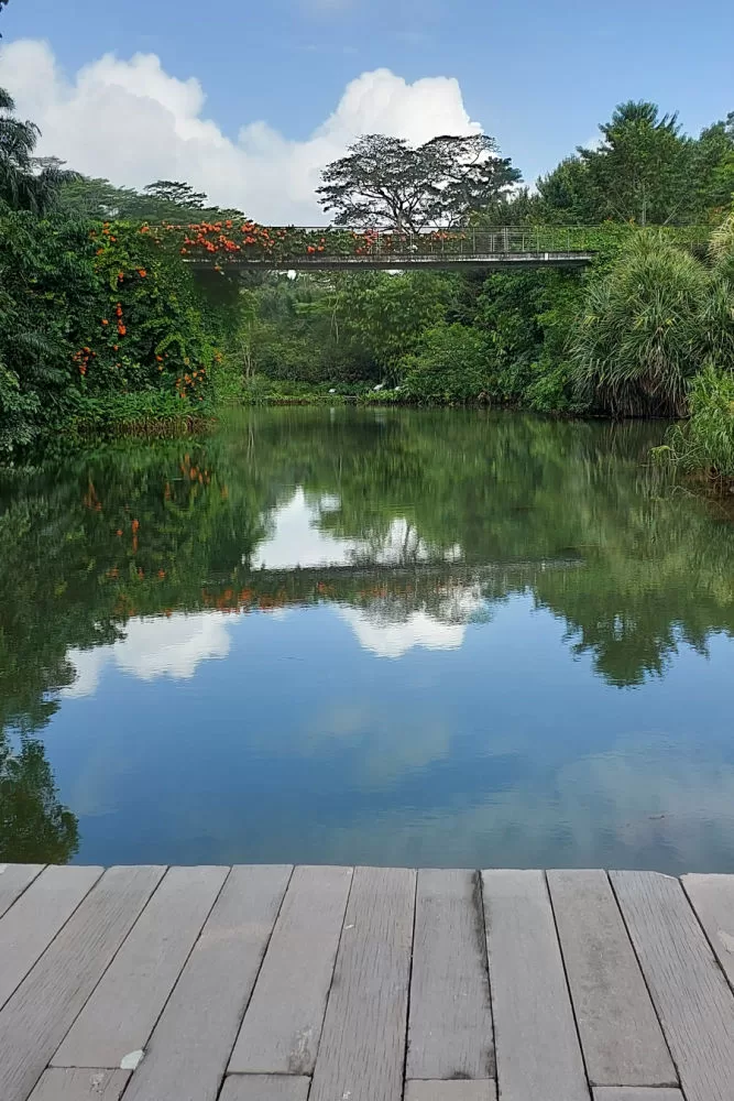Caminata por Los Jardines Botánicos en Singapur