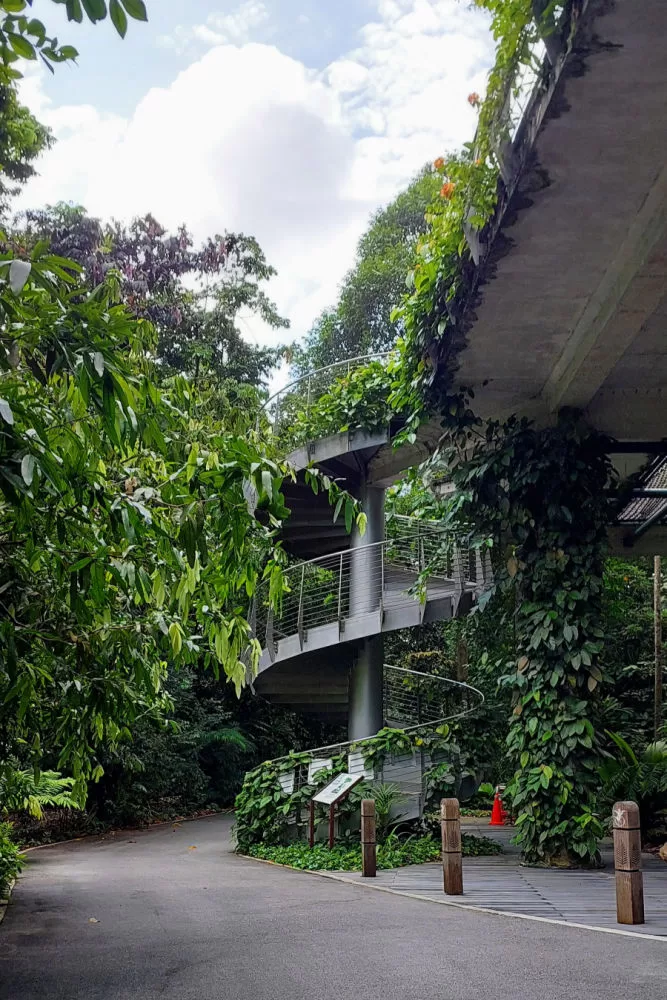 Caminata por Los Jardines Botánicos en Singapur