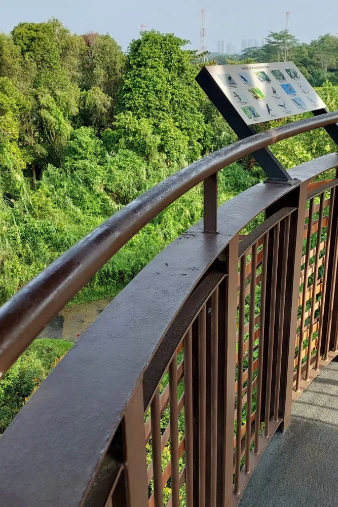 Singapore Nature Hiking Through Kranji Marshes