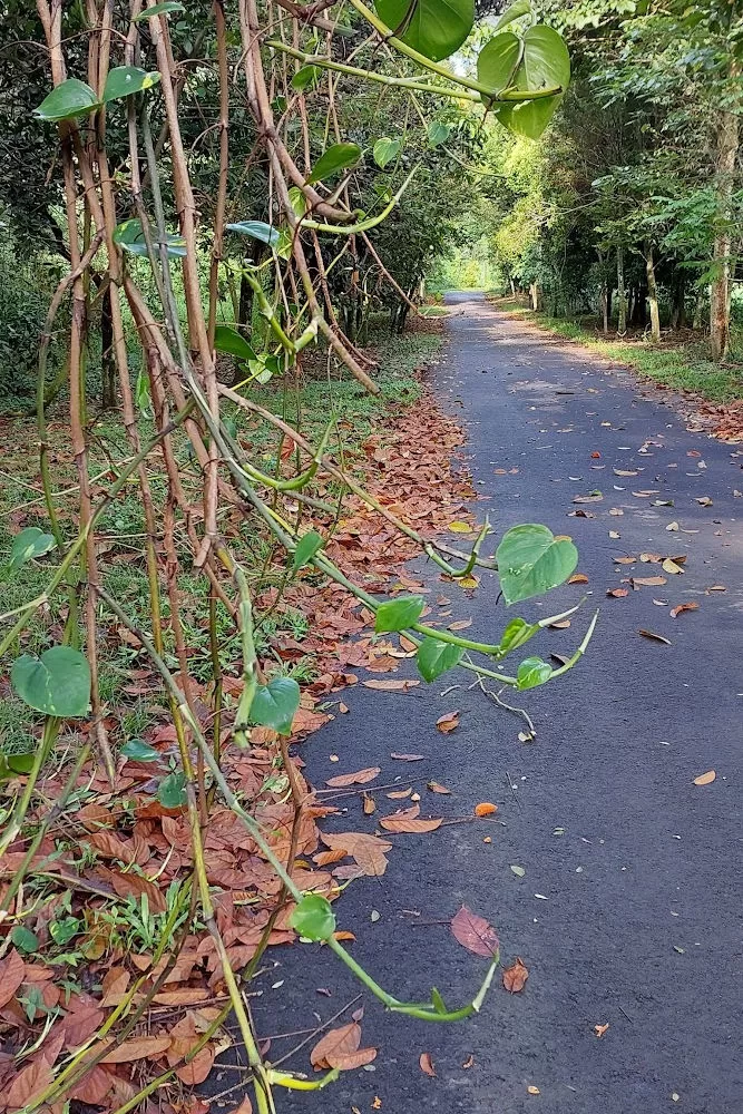 Exploring a bird lover's paradise: Kranji Marshes