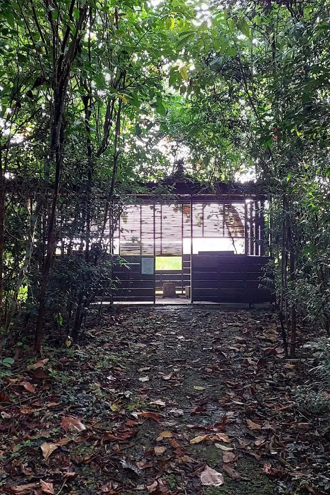 Singapore Nature Hiking Through Kranji Marshes