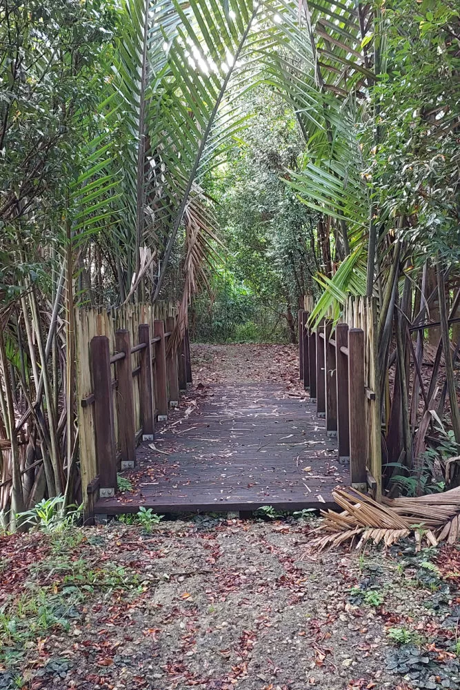 Singapore Nature Hiking Through Kranji Marshes