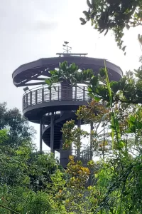Exploring a bird lover's paradise: Kranji Marshes