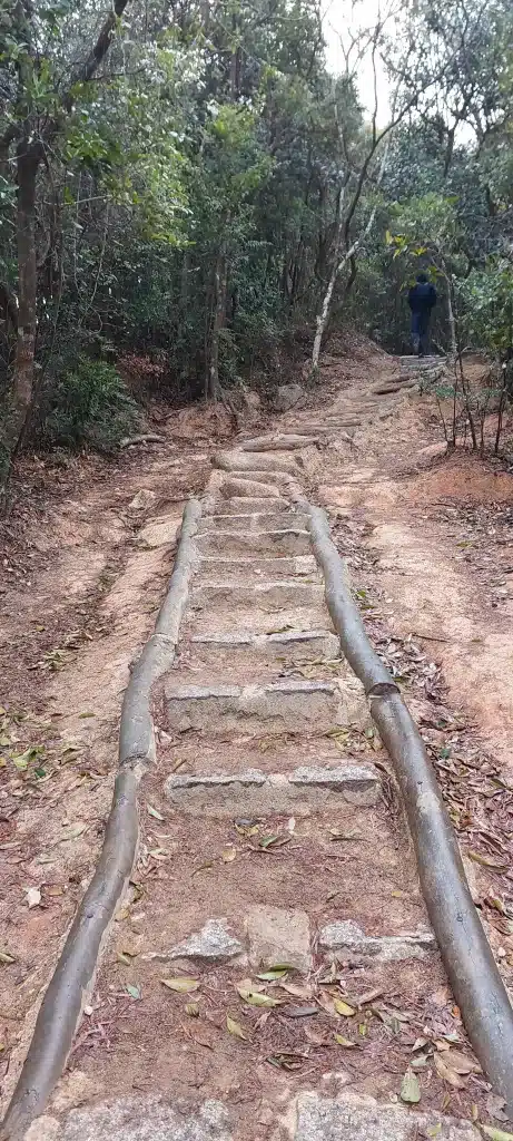 LION-ROCK-HONG-KONG-HIKE