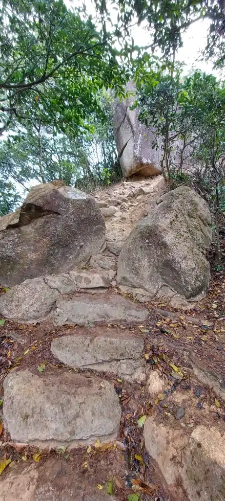 lion rock guía itinerario 