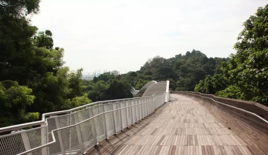 Hiking in Singapore | From Southern Ridges to Labrador Park