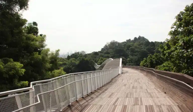 hike Southern Ridges Labrador Park-1