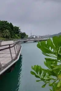 Belayer Creek Boardwalk