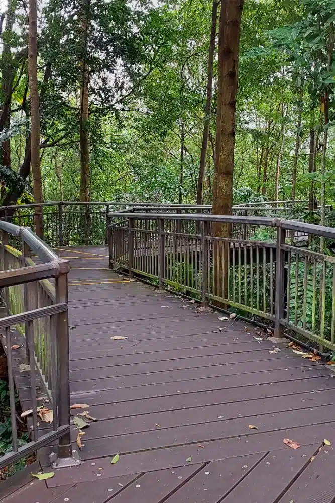 Hiking in Singapore | From Southern Ridges to Labrador Park