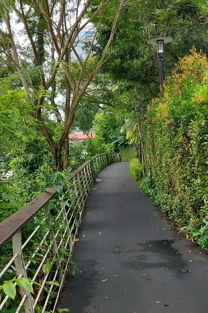 Hiking in Singapore | From Southern Ridges to Labrador Park