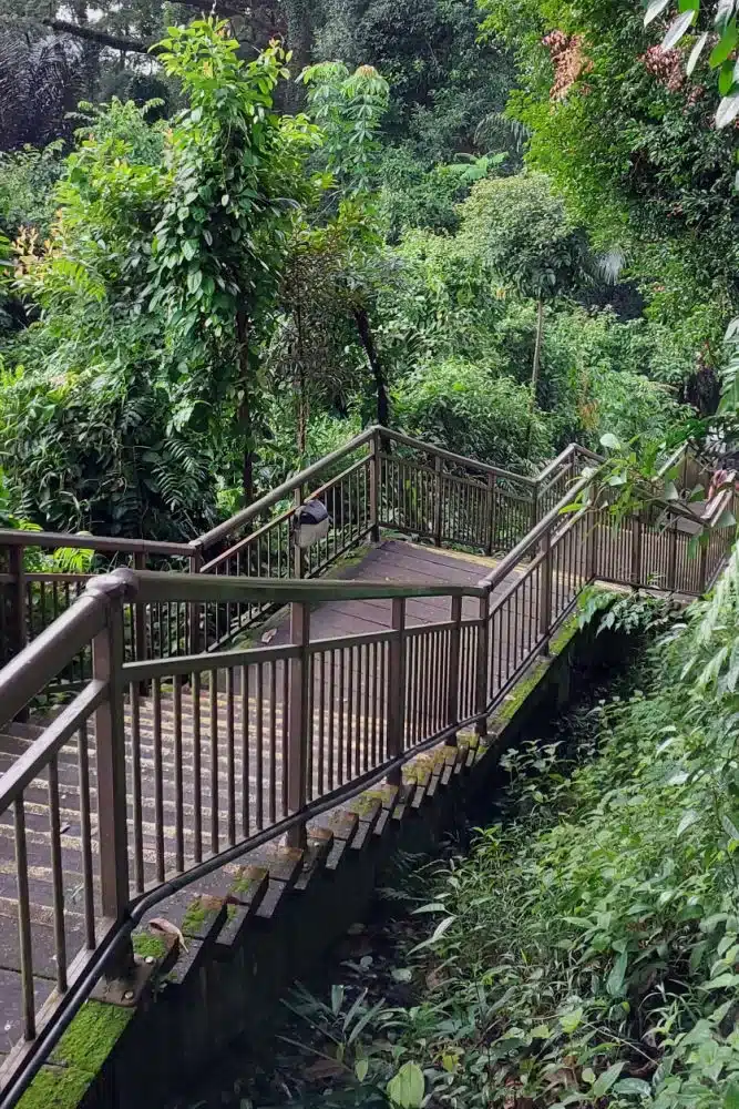 Southern Ridges to Labrador Park Hike. Best Places to Hike in Singapore.