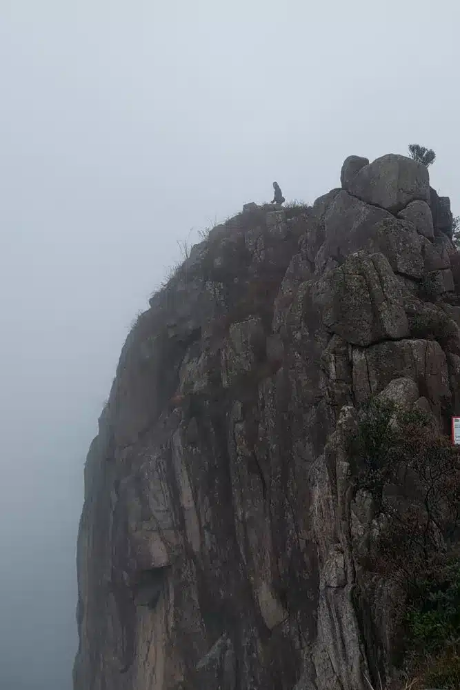 Descubriendo la Naturaleza: Ruta de Senderismo por Lion Rock en Hong Kong-1