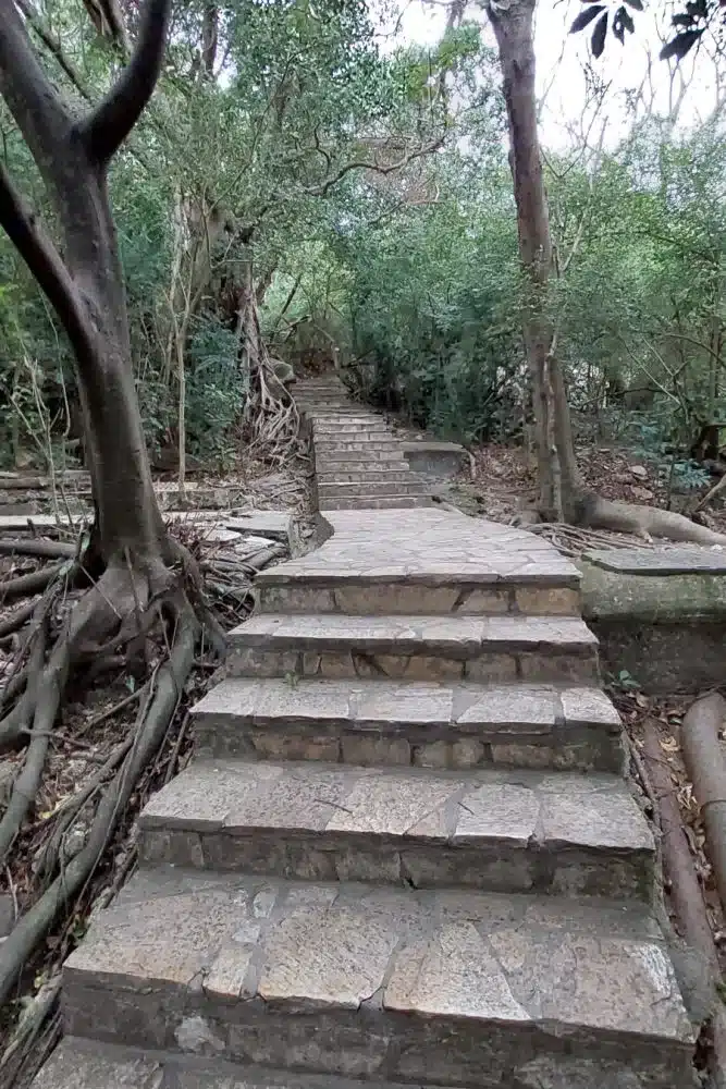 Descubriendo la Naturaleza: Ruta de Senderismo por Lion Rock en Hong Kong-1