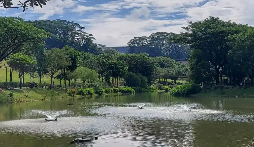 caminata a lo largo del río Punggol-1