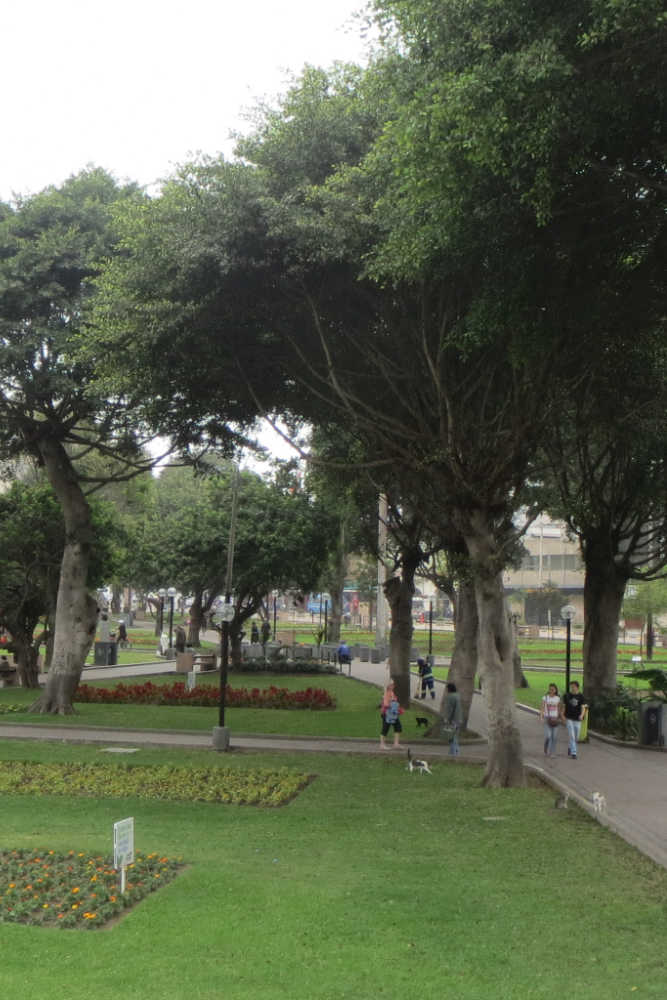 El parque Kennedy en Miraflores Lima Peru-1