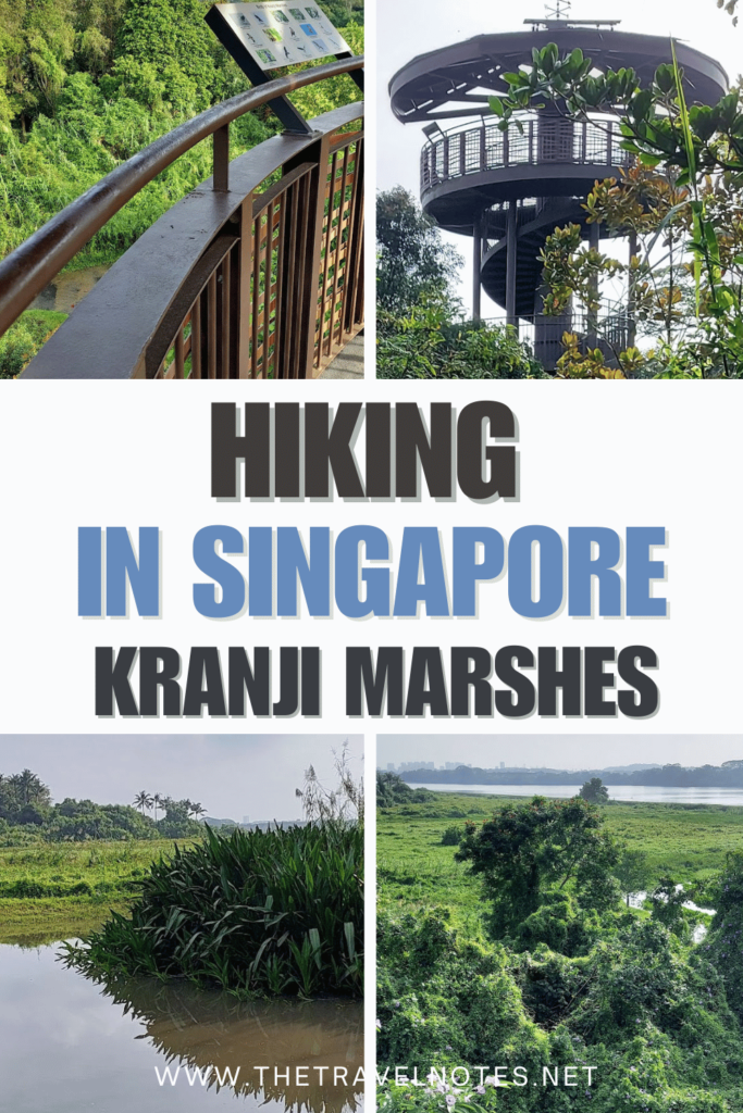 Exploring a bird lover's paradise: Kranji Marshes